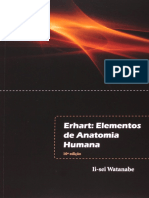 Resumo Erhart Elementos de Anatomia Humana Li Sei Watanabe