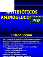 AMINOGLUCOSIDOS07