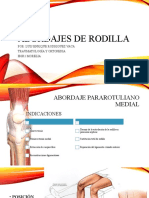 Abordajes de Rodilla