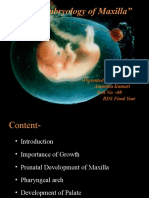 "Prenatal Embryology of Maxilla": - Presented By-Anamika Kumari Roll No. - 08 BDS Final Year