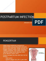 askep ibu infeksi post partum