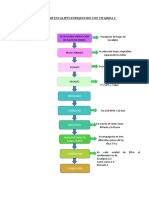 Filtrante de Eucalipto Enriquecido Con Vitamina C