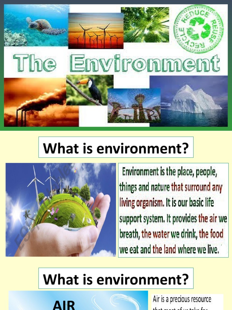 Environment Sixth Grade 29 Oct | PDF | Wellness | Technology & Engineering