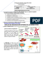 Niveles de organización biológica