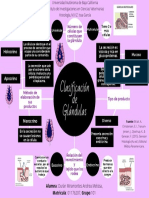 Clasificacion de Glandulas Mapa
