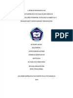 PDF LP Fss - Compress