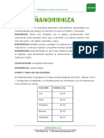 Nanorrhiza Ficha Tecnica. 1 2