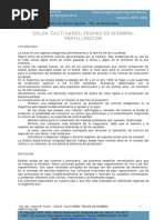 Download nota colza by Ariel Jesus Rolfo Pes SN56072360 doc pdf
