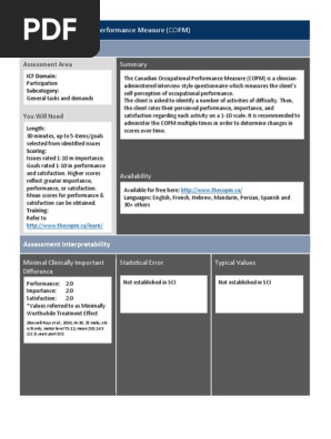 Clinician Summary COPM v.7.0