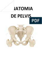 Anatomía de La Pelvis