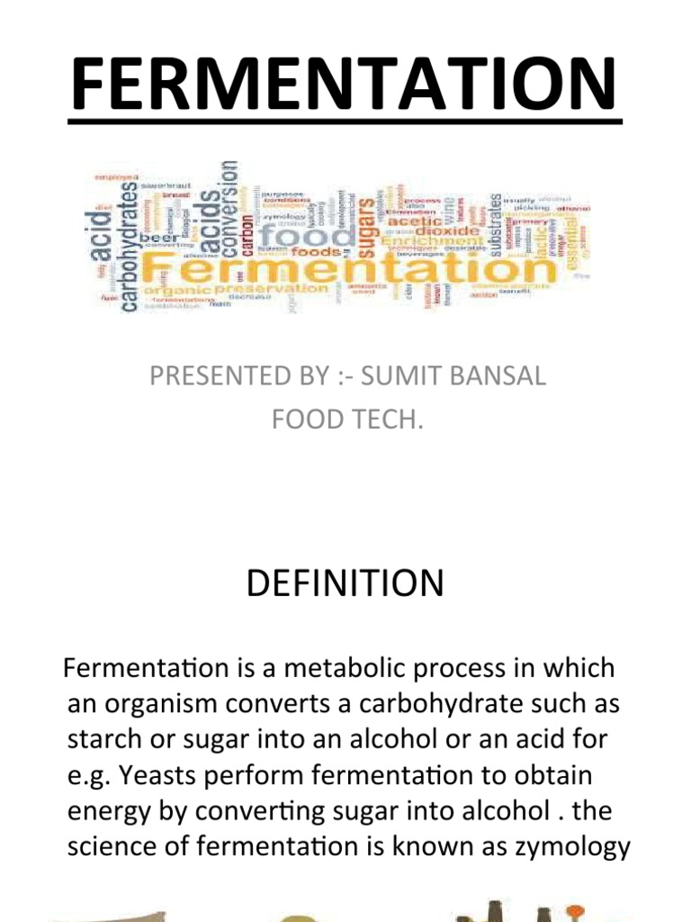 Understanding Fermentation Processes | PDF | Fermentation | Food And Drink