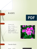 Radix