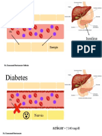 Diabetes explicacion para px