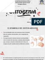 Desarrollo y Plasticidad Del Sistema Nervioso.