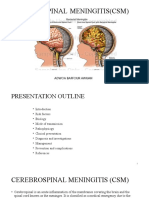 Cerebrospinal Meningitis (CSM) : Adwoa Baffour Awuah