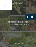 Recetario Plantas Medicinales Versión EEFF