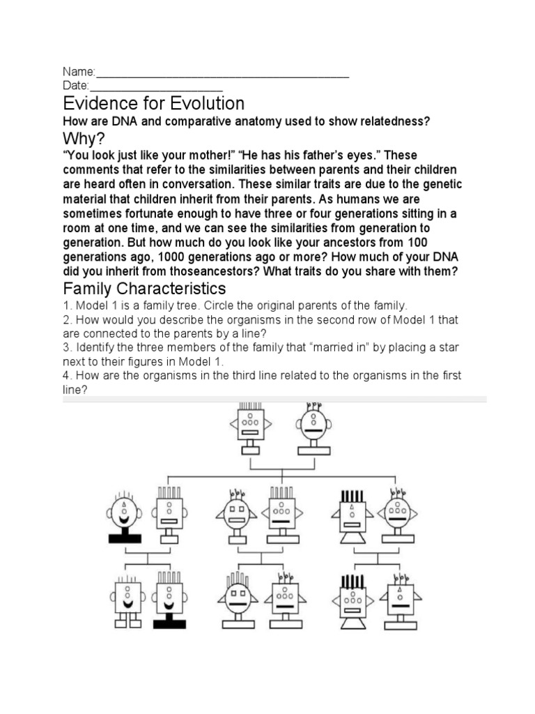 DNA and Anatomy in Evolution Evidence | PDF | Language Arts ...