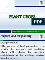 Plant Crops