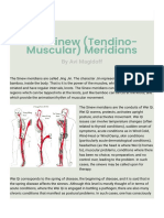 The Sinew (Tendino-Muscular) Meridians - Jade Institute Classes