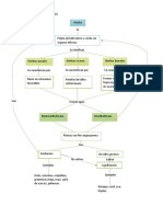 Mapa Conceptual Hierbas