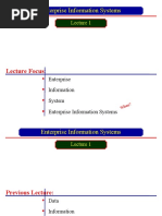 Enterprise Information Systems: Lecture Focus