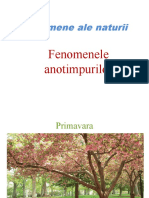 Fenomene Ale Naturii