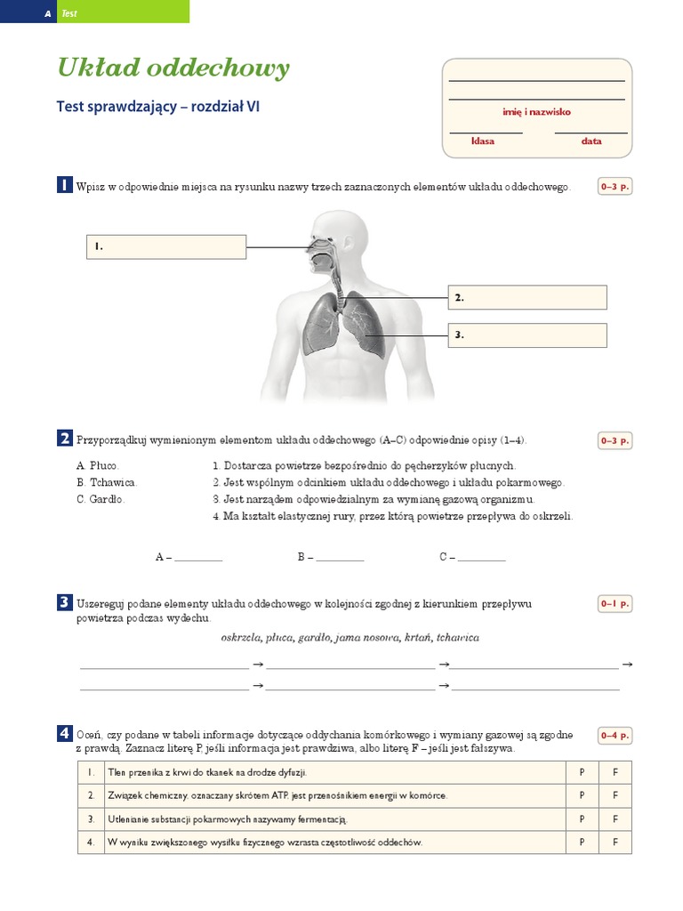 Układ Oddechowy Test Klasa 7