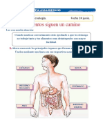 FICHA DE TRABAJO EN CASA (2)