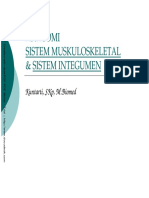 Anatomi Sistem Muskuloskeletal & Sistem Integumen