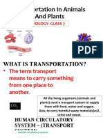 Transportation in Animals and Plants: Biology-Class 7
