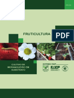 PR.0318-Cultivo-Morangueiro-Substrato_web