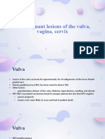 Premalignant Lesions of The Vulva and Vagina
