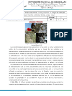 Nuevo Documento de Microsoft Word