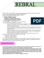 Estructuras y funciones del tronco encefálico