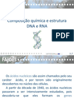 Composição Química e Estrutura DNA e RNA