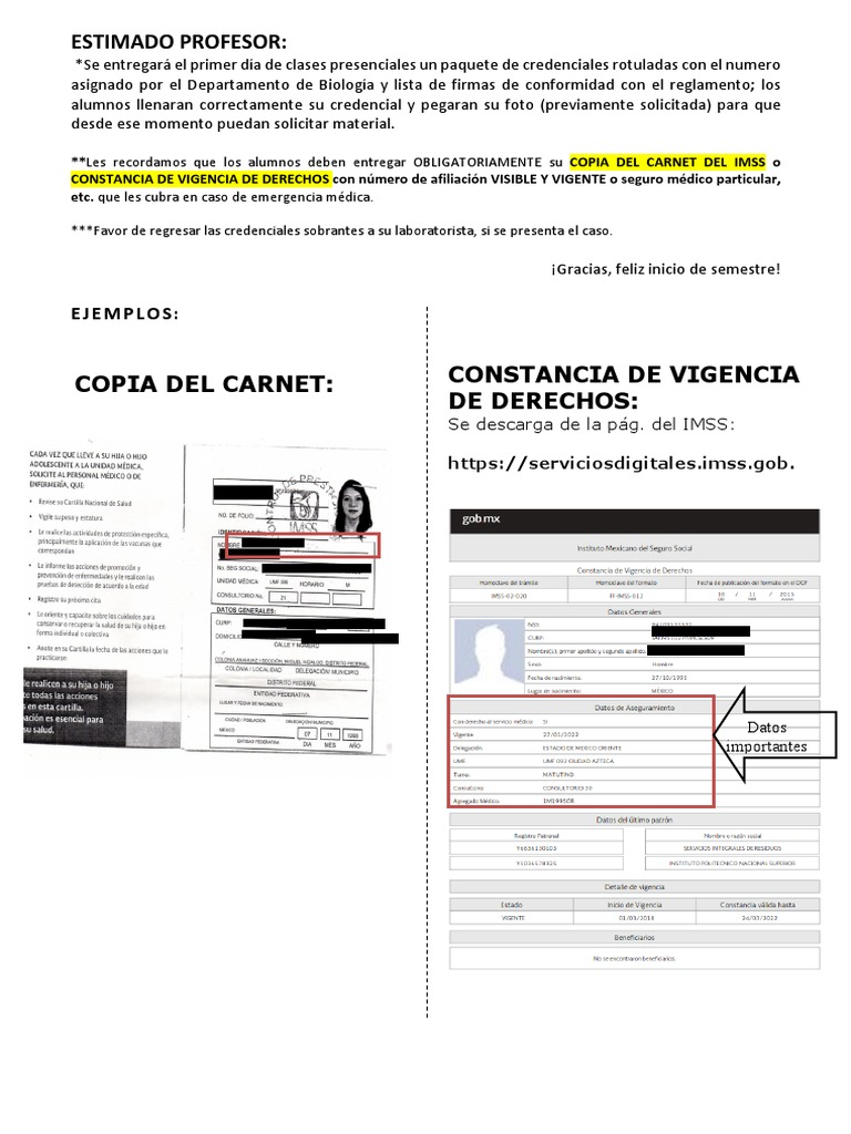 Ejemplo Constancia de Vigencia de Derechos PDF