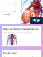 Sistemul Circulator La Mamifere