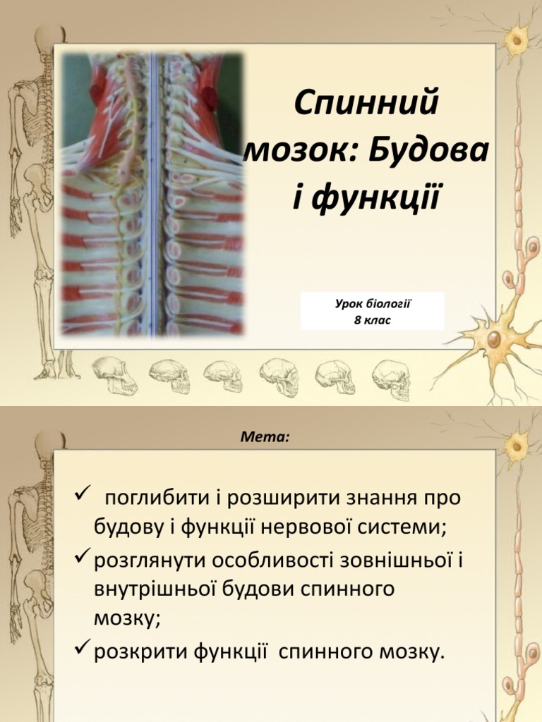 167585 | PDF