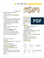 DNA e RNA