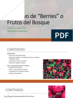 El Cultivo de Los Frutos Del Bosque