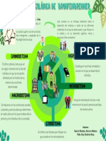 Teoria Ecologica de Bronfenbrenner