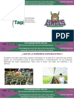Plantilla Agroindustrial