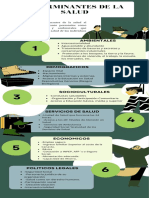 Determinantes de La Salud