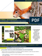 3.2. PPT - Funcionamento Dos Ecossistemas