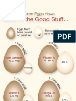 Egg Graphic