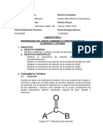 Propiedades Del Grupo Carbonilo e Identificación de Aldehídos y Cetonas