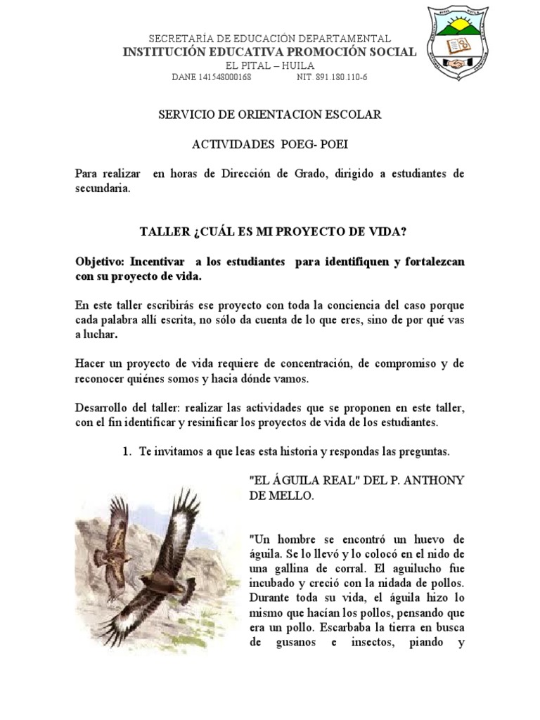 Taller de Proyecto de Vida para Secundaria | PDF | Pollo