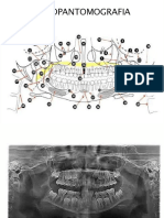 PDF Konsep Dasar Fisiologi