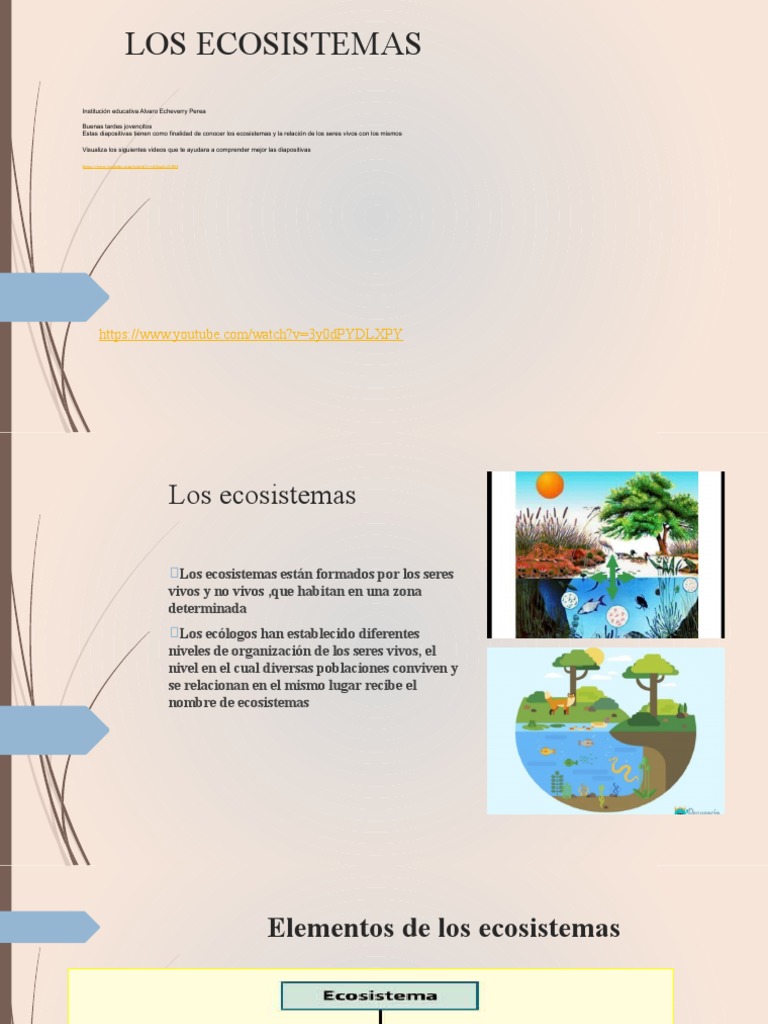 Tipos de Ecosistemas Terrestres y Acuáticos | PDF | Ecosistema | Suelo