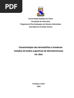 Caracterização dos dermatófitos e leveduras